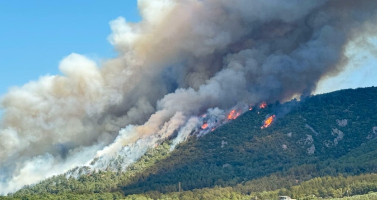 Soma’da orman yangını somada orman yangini by8vEJxf