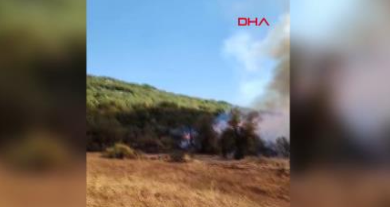 burdurda orman yangini uJJcaYWr