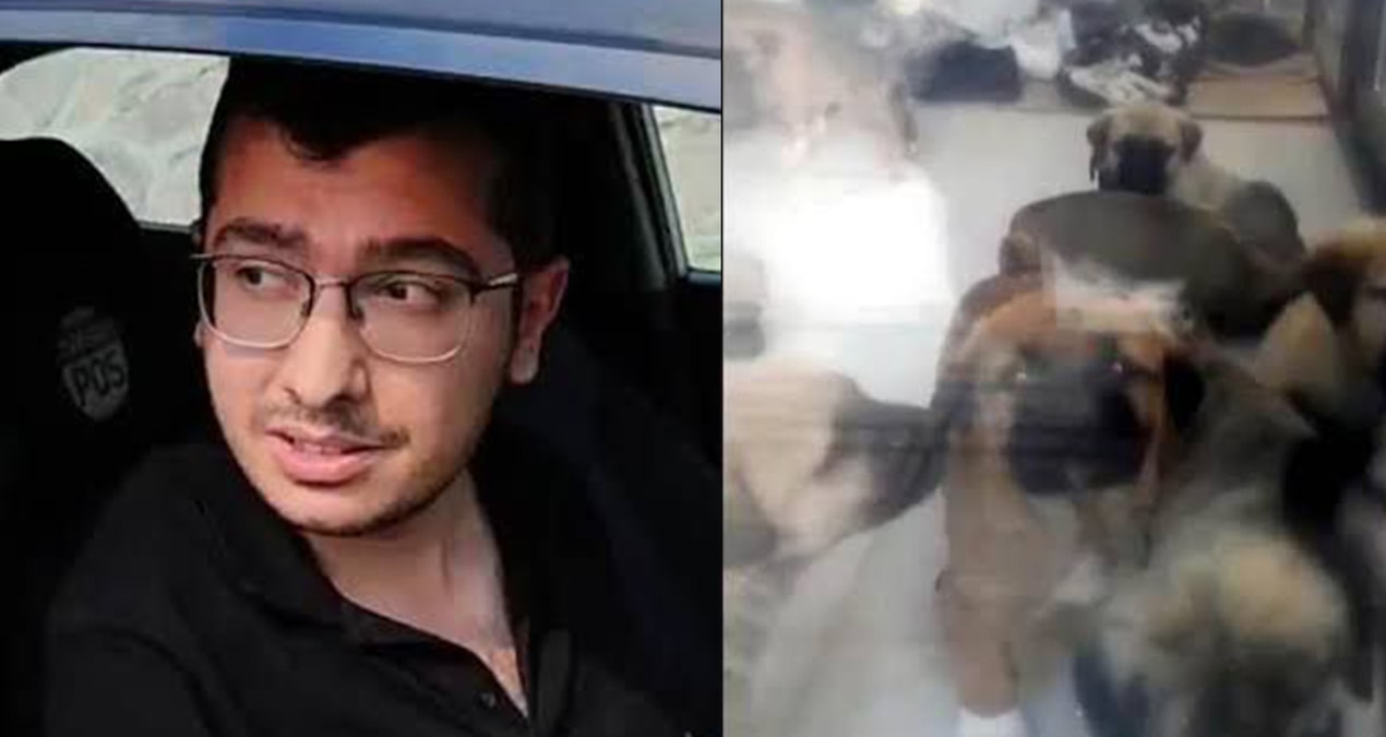 sahiplendigi kopekleri olduren doktor tahliyesiniistedi vqkBJnd1