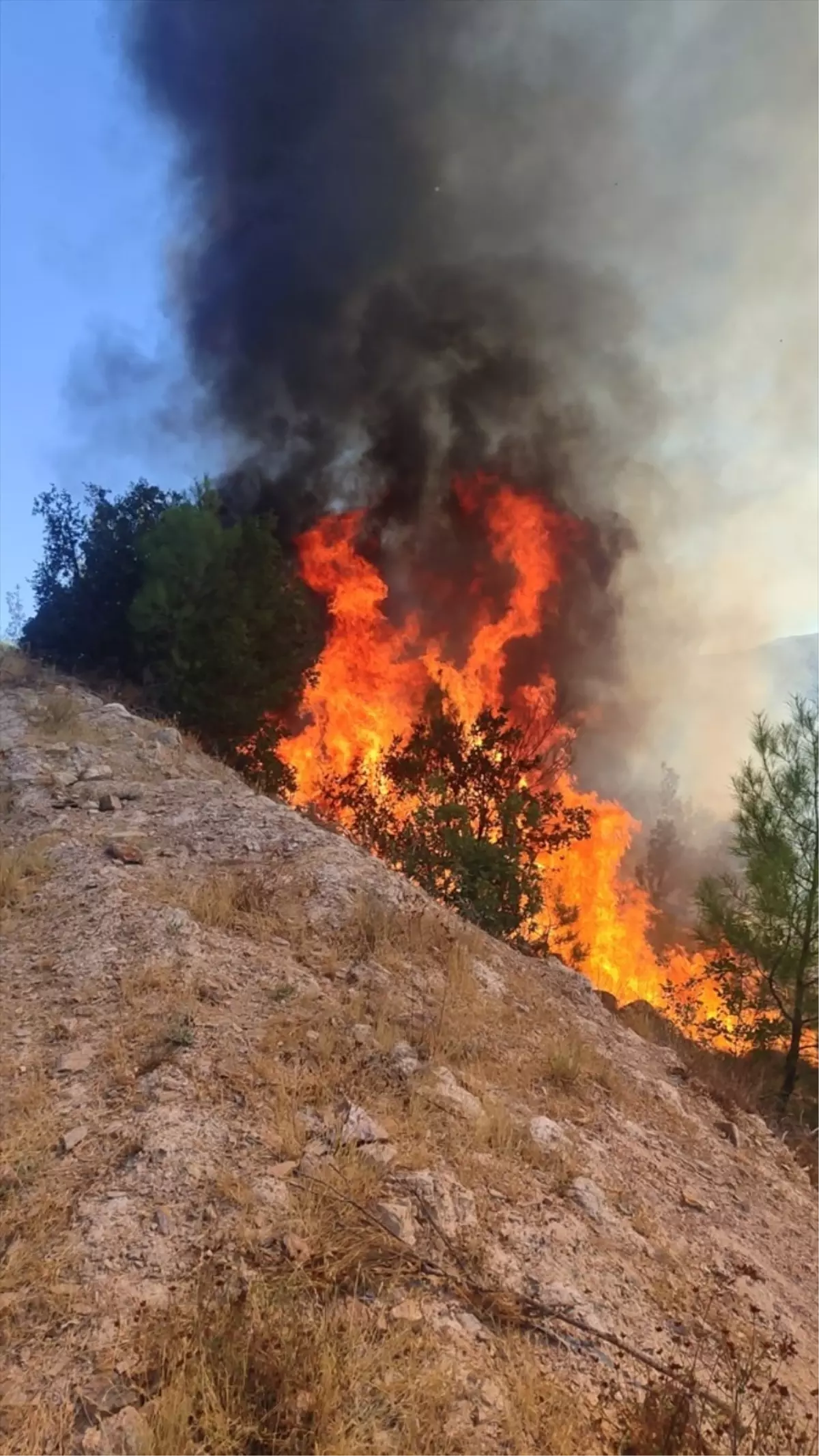 sindirgida orman yangini kontrol altina alinmaya calisiliyor 8ZRnPJFH