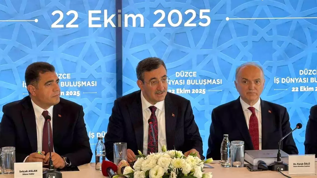 cevdet yilmaz kur korumali mevduat sonlandirilmistir 5fkSzK68.jpg