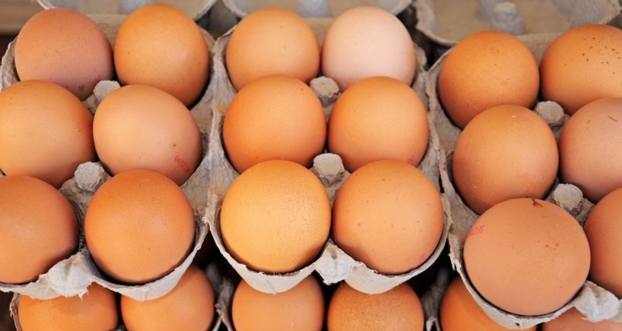 yumurta krizi kapida uretimde sert dusus CksYYMdD.jpg