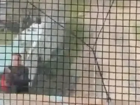 Trende Facianın Eşiğinden Dönüş: Kahraman Polisin Zamanla Yarışı