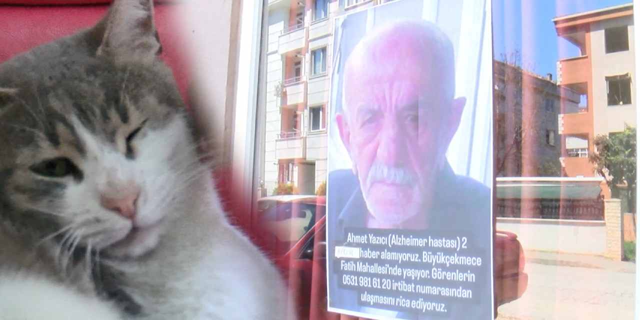 40 Gün Geçmesine Rağmen Kayıp Alzheimer Hastası Bulunamadı: Yakınları ve Kedisi Zilli Umutla Bekliyor