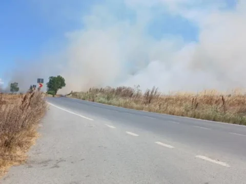 Silivri’de yerleşim yerlerinin yakınındaki otluk alanda yangın!